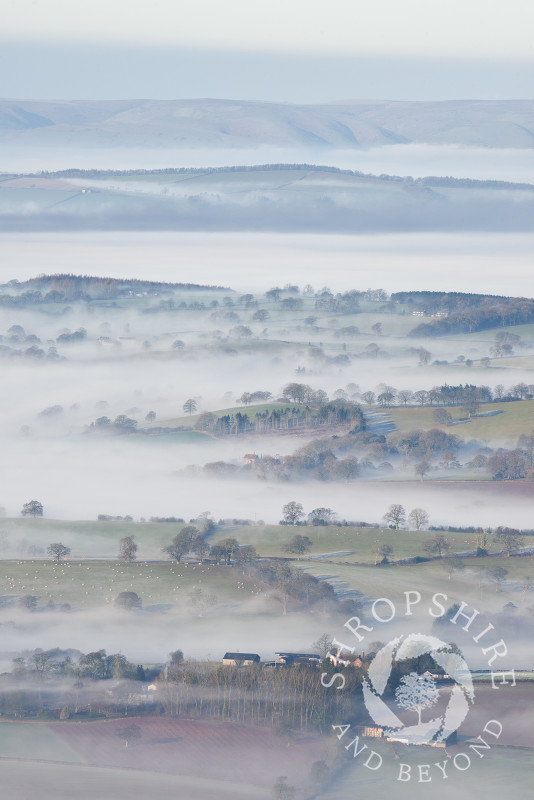 A layer of mist covers the south Shropshire countryside, with the Long Mynd in the distance, seen from Titterstsone Clee.