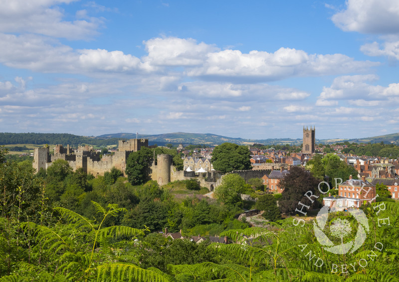 Summer sunshine on Ludlow, Shropshire, seen from Whitcliffe Common.