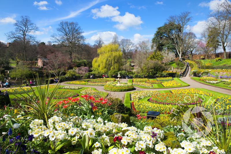 The Dingle in springtime, Shrewsbury, Shropshire, England.