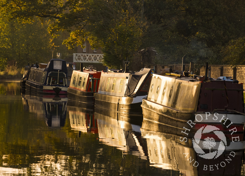 Llangollen Canal at sunrise, Ellesmere, Shropshire.