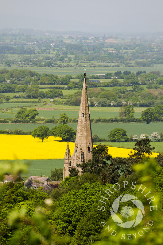 All Saints Church at Clive, seen from Grinshill Hill, Shropshire, England.