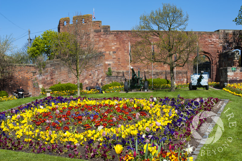 A bed of flowers outside Shrewsbury Castle, Shropshire, England.