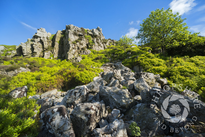 Nipstone Rock on the Stiperstones, Shropshire.