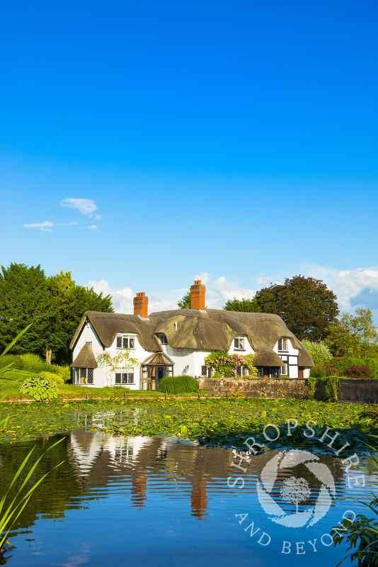 Thatched cottage reflected in the village pool at Badger, Shropshire, England.