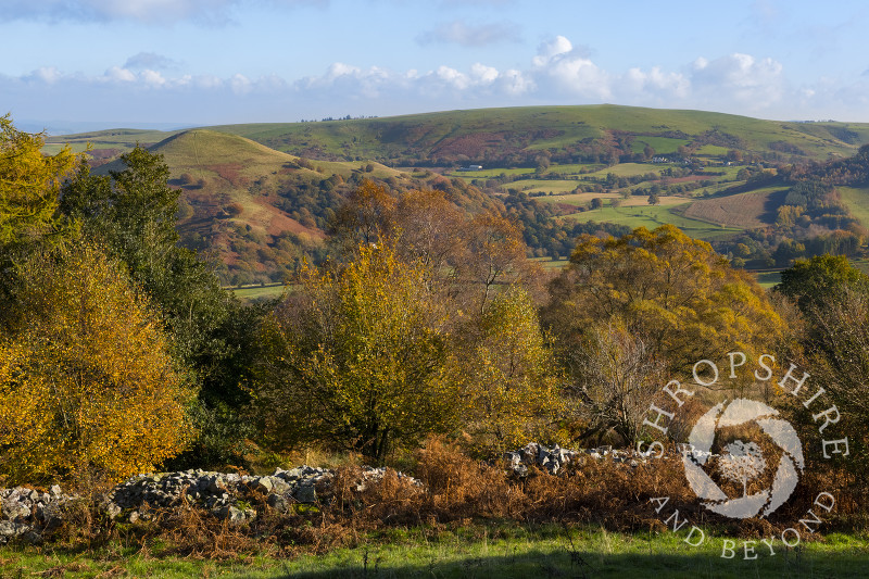 Paulith Bank and the Long Mynd seen from Brook Vessons Nature Reserve, Shropshire