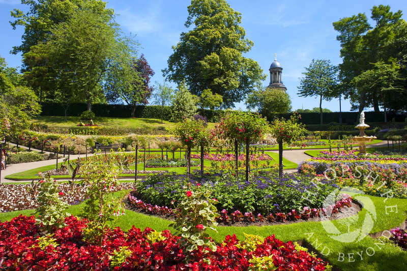 Springtime in the Dingle, Shrewsbury, Shropshire, England.