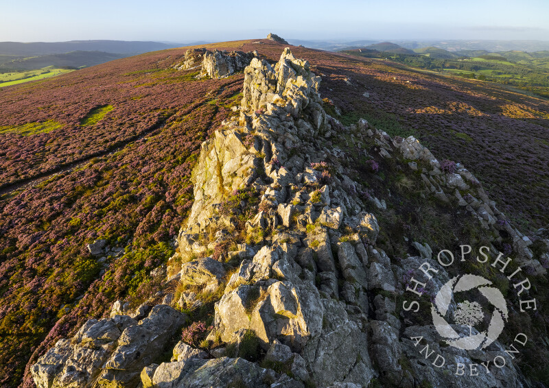Early morning from the Devil's Chair on the Stiperstones, Shropshire.