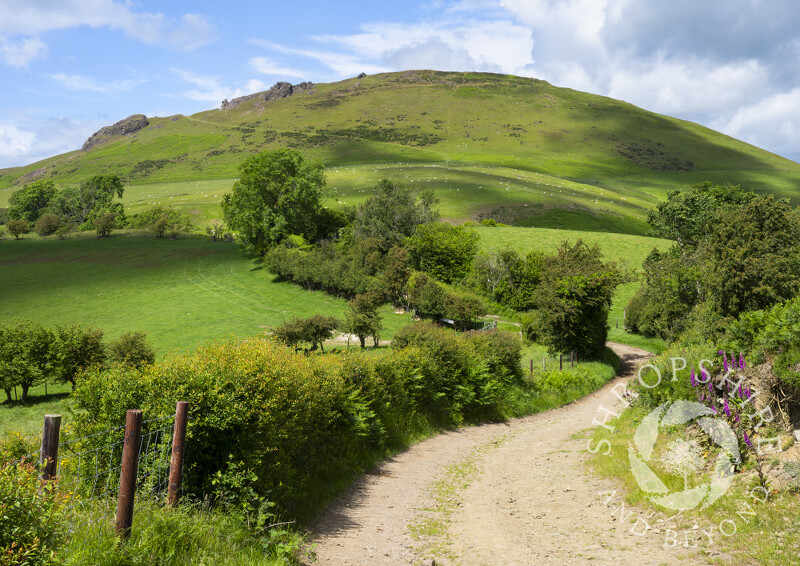 A winding track leading to Caradoc, near Church Stretton, Shropshire.