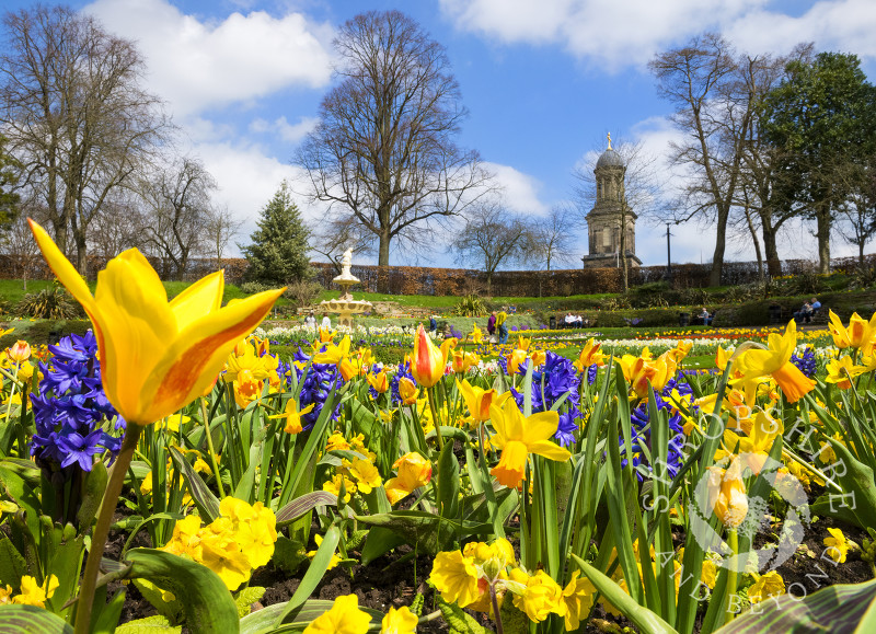 Springtime in The Dingle, Shrewsbury, Shropshire.