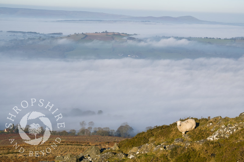 A sea of mist covers the south Shropshire landscape, seen from TItterstone Clee, with the Stretton Hills in the distance.