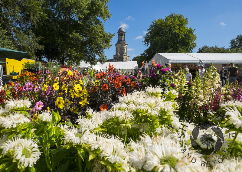 Flowers on display at Shrewsbury Flower Show with St Chad's Church, Shropshire.
