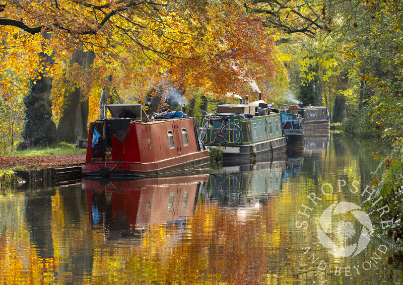 Narrowboats and autumn reflections on the Llangollen Canal near Ellesmere, Shropshire.