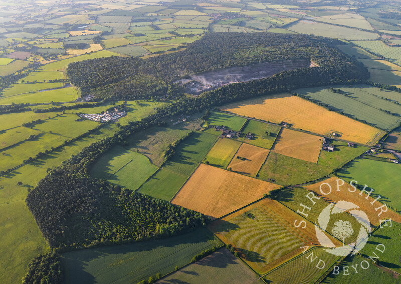 Haughmond Hill and Abbey Wood, near Shrewsbury, Shropshire.