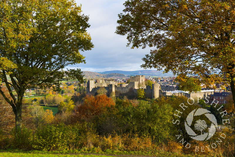 Autumn colours surround Ludlow Castle, seen from Whitcliffe Common, Ludlow, Shropshire, England.