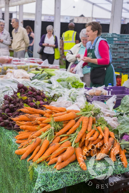 Vegetables on display at Ludlow Food Festival, Shropshire.