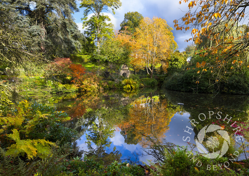 Autumn in The Dingle, Shrewsbury, Shropshire.