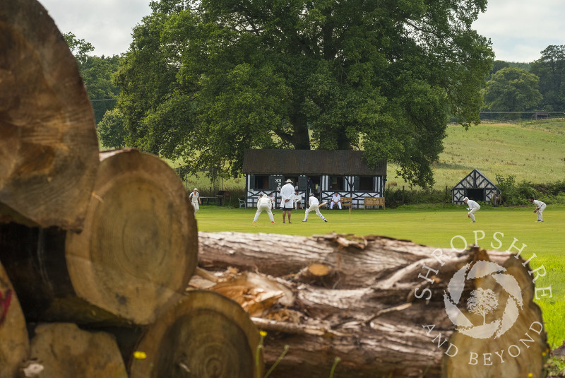 Cricket match at Burwarton, Shropshire.