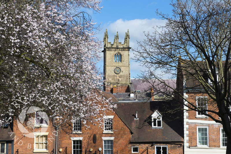 St Julian's Church in Spring time, Shrewsbury, Shropshire, England.