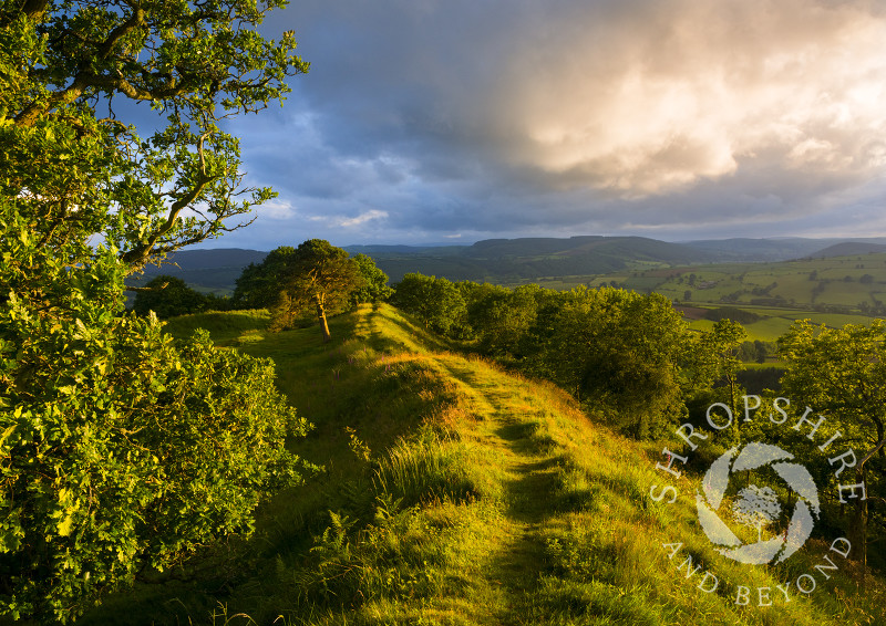 Evening light on Burrow Hill Iron Age hill fort, near Hopesay, Shropshire.