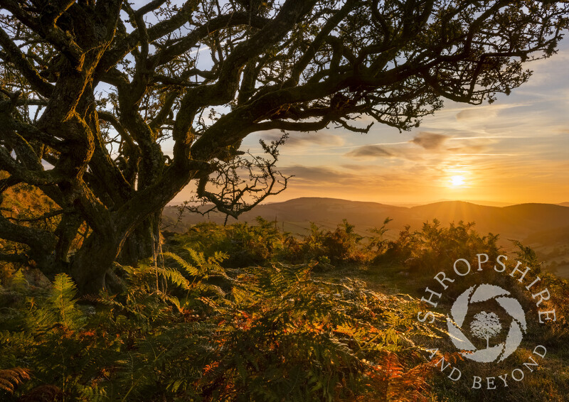 Sunrise seen from Caer Caradoc in the Redlake Valley, Shropshire.